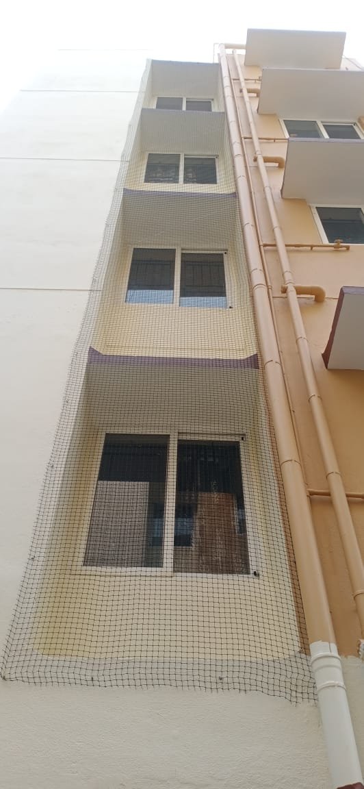 Window safety Nets